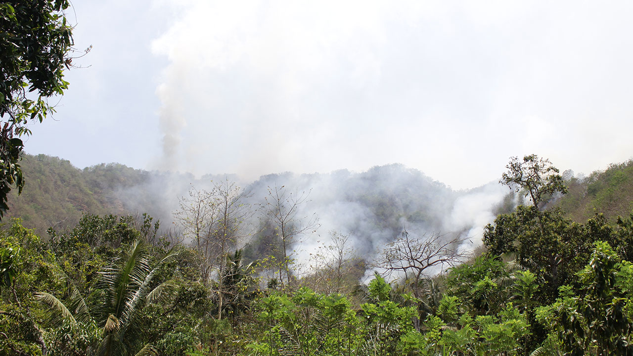 Tampak bukit dan hutan yang terbakar sejak pukul 06.00 WITA. Api disebutkan berasal dari Bukit Subaya, Kecamatan Kintamani, Kabupaten Bangli. Foto: Franz Jr.